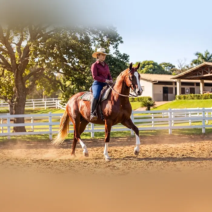 Provas Equestres